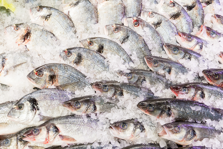 Россельхознадзор приостановил ввоз партии рыбы из Марокко