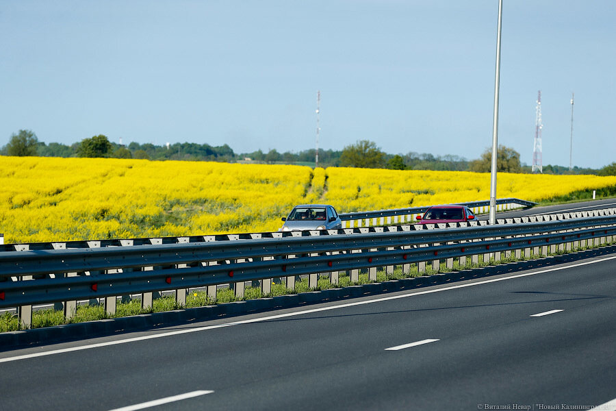 Вместо обхода Черняховска власти хотят построить дорогу от индустриального парка на восток
