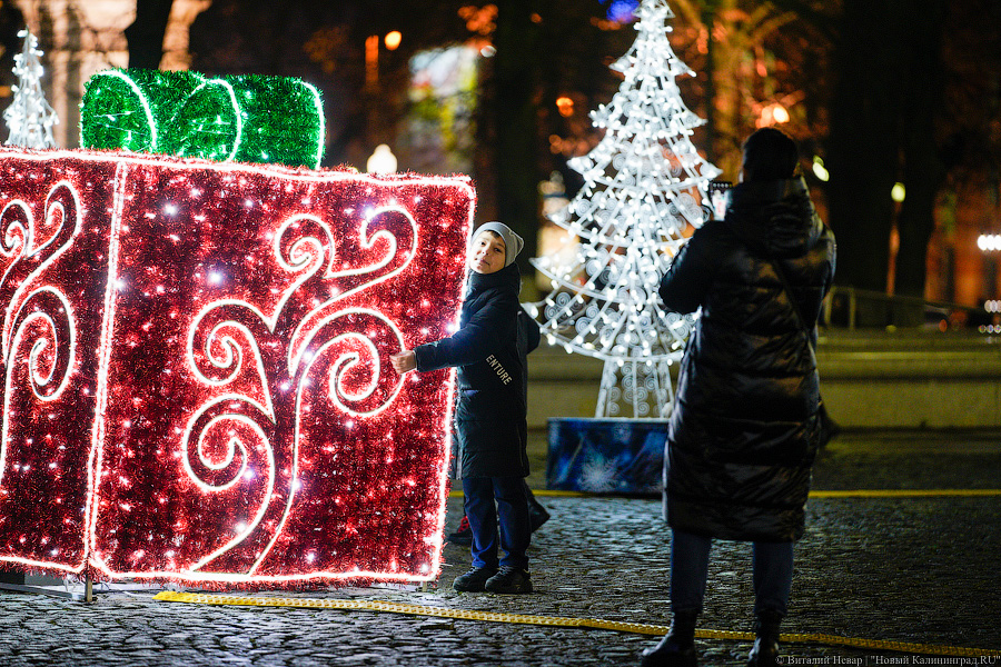 работа на новогодние праздники калининград. режим работы в новогодние праздники. рождественский калининград. калининград кафедральный собор ёлка. новогодний калининград 2022.
