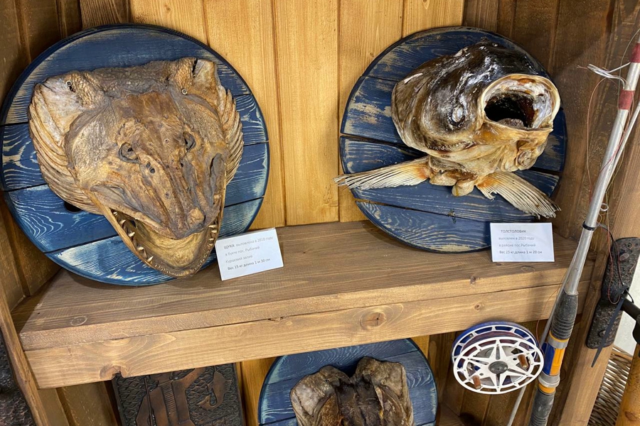 На Куршской косе открыли «Музей рыбака и рыб» (фото)