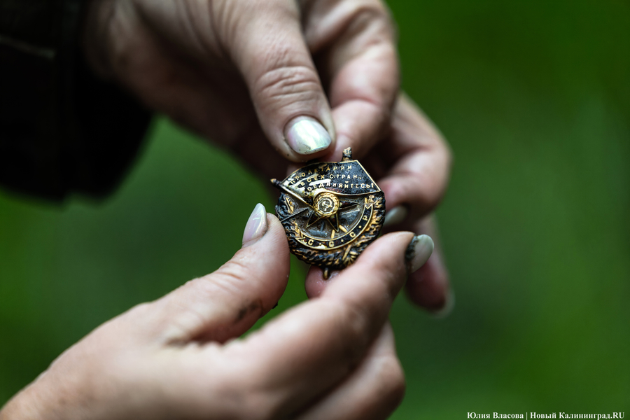 Бой с дюжиной немецких асов: поисковики рассказали о подвиге сбитого Ил-2 (фото) (видео)