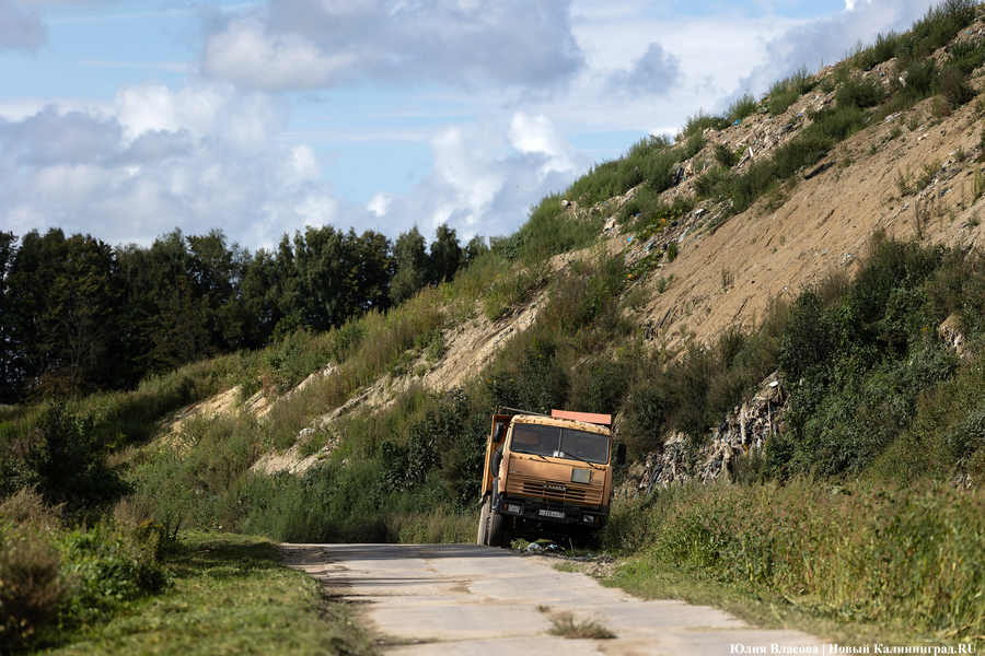«Стихией управлять не научились»: как глава Минприроды РФ понюхал воздух в Круглово (фото)