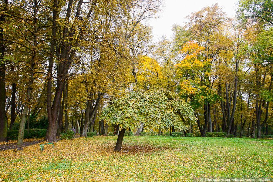 Днём совсем не страшно: осенний Балтийский парк
