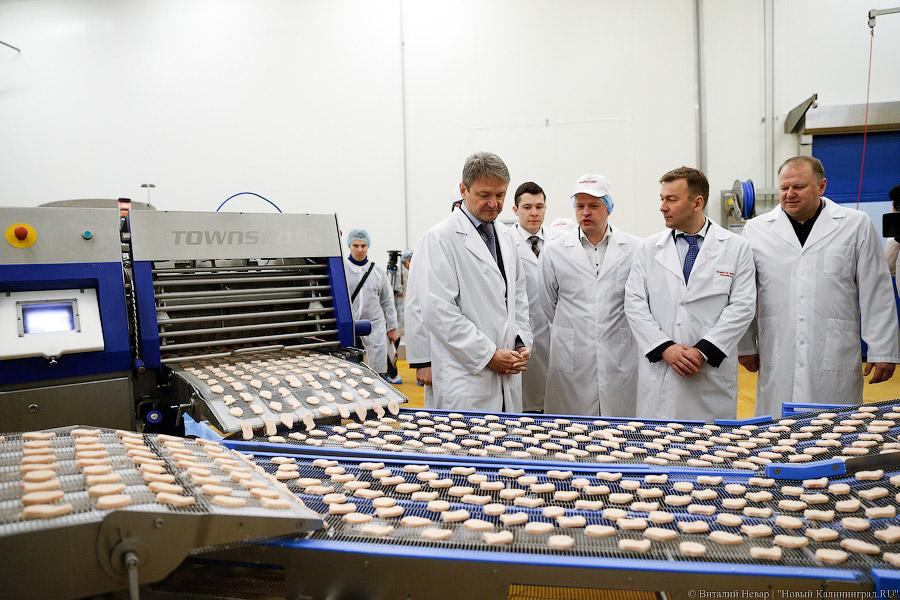 Галопом по котлетам: главе Минсельхоза РФ показали два завода в Калининграде