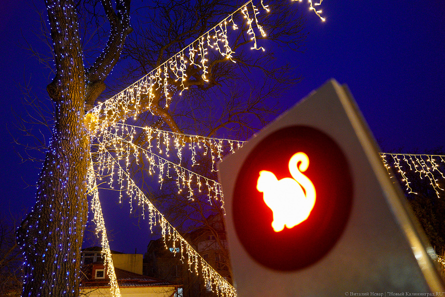 Зеленоградск украсили к Новому году. И если вы там ещё не были, срочно смотрите наш фоторепортаж (фото)