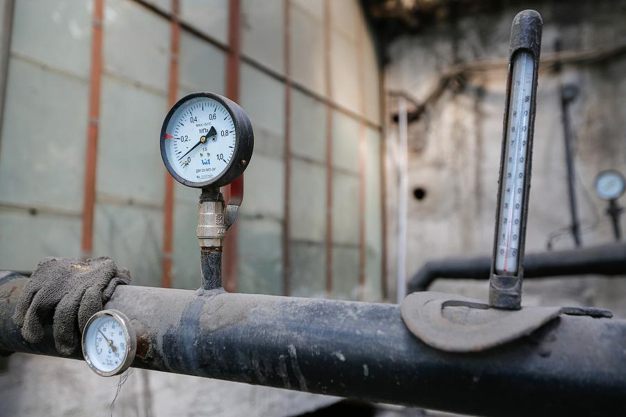 Экзотика в руинах: аварийные оранжереи Ботанического сада и их будущее