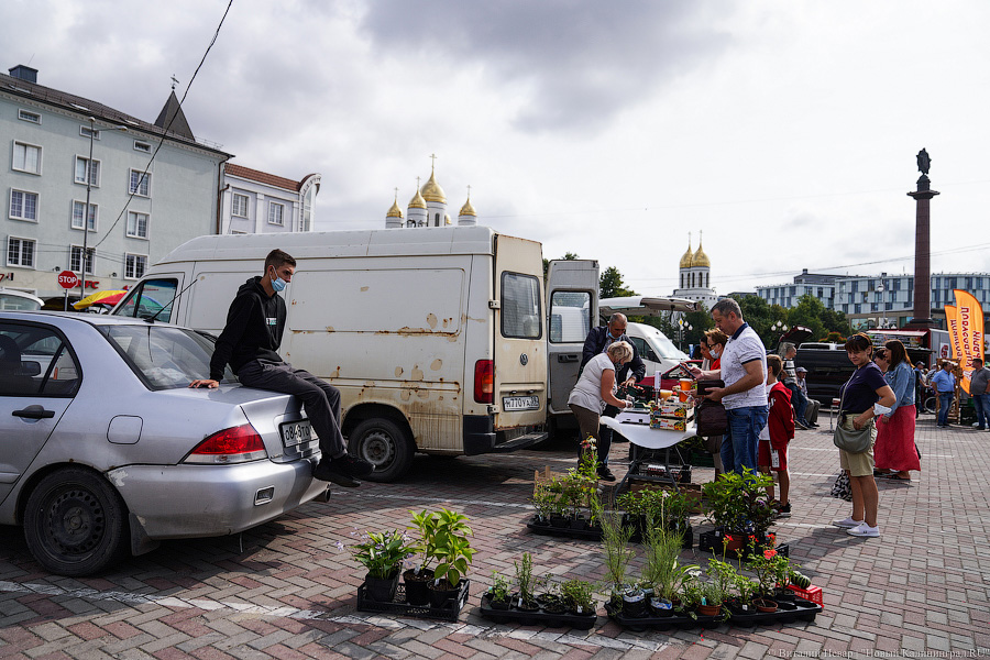 Базар-вокзал: как проходит сельхозярмарка на площади Победы в Калининграде
