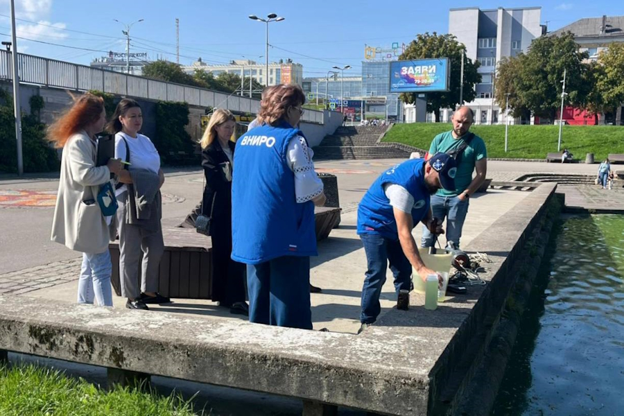 Минприроды: размножение зловонных водорослей на Нижнем озере естественно (фото)