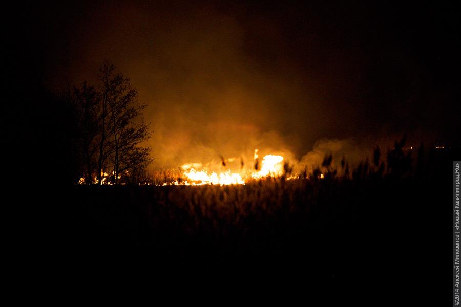 «Пол-области в огне»: трава под Калининградом полыхает на полусотне гектаров