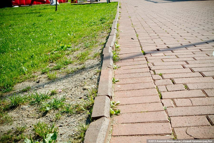 С собакой-улыбакой: Ярошук вновь пообещал завершить реконструкцию набережной Верхнего озера