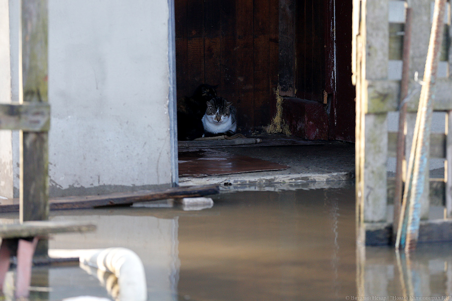 В Полесском округе прорвало дамбу. Есть риск подтопления жилых домов