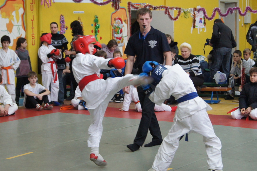 Детский юношеский спортивный коллектив рукопашного боя «Рысь»