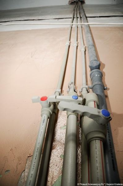 "Инфекционные горизонты": репортаж "Нового Калининграда.Ru"