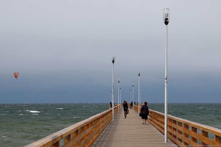 Три рыбных дня было у меня: как прошел рыбный фестиваль в Зеленоградске