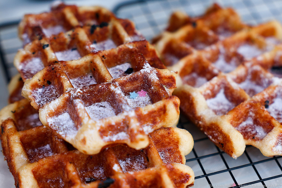 «Судя по всему, последний раз на этом месте»: что съесть на «Фиштивале» в Зеленоградске (фото)