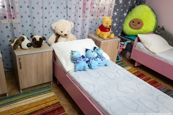 Вечерний@Калининград: из дома в приют, птичий папа, расширение горсовета