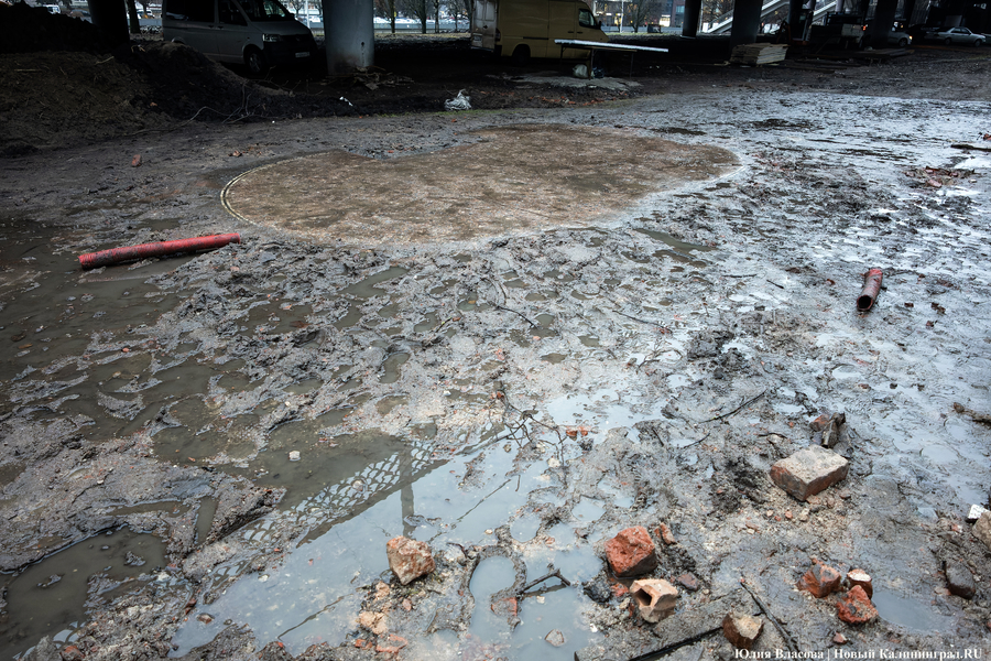 Настоящие подземелья Кёнигсберга: что находится в открывшемся провале на острове Канта (фото)