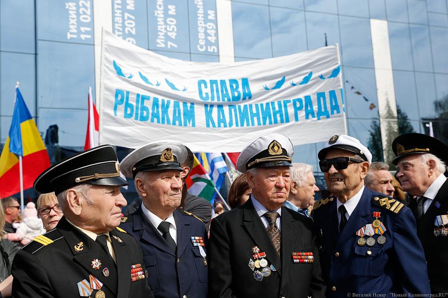 Суточного посола и под шубой: как прошел День селедки