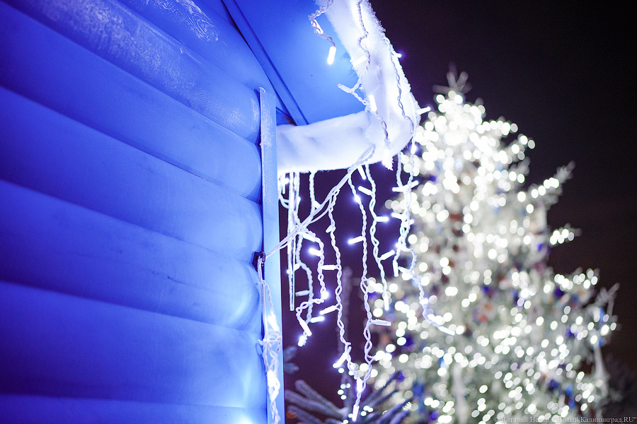 Свая Эдик вместо Снегурочки: у стадиона «Калининград» появился Домик Деда Мороза (фото)