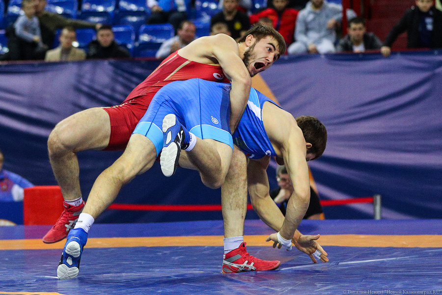 Просто мощь: чемпионат России по греко-римской борьбе идет в Калининграде (фото)