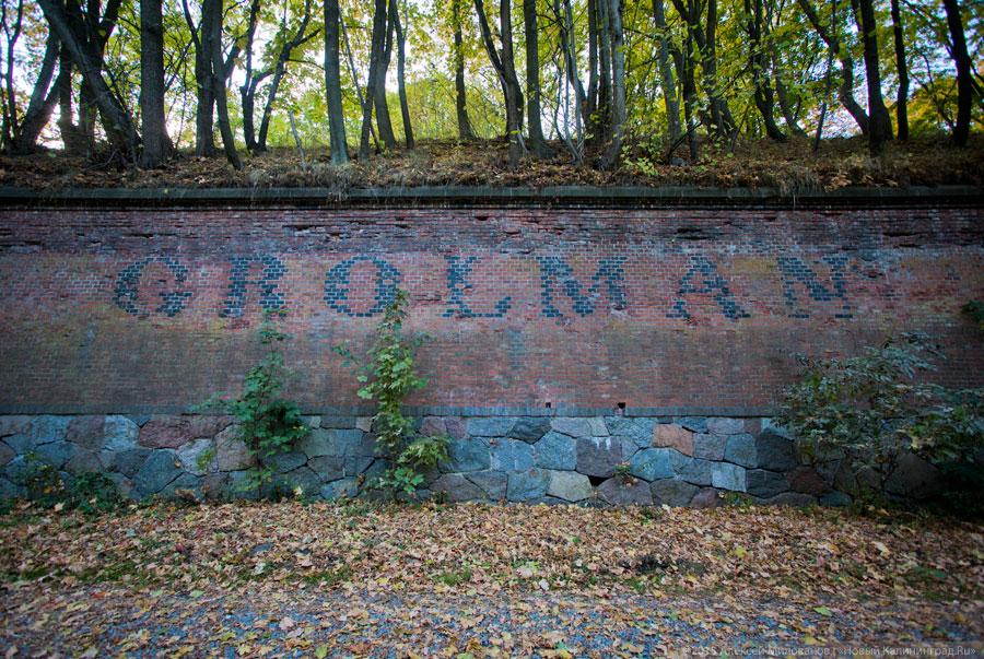 Фото — Алексей Милованов, «Новый Калининград.Ru»