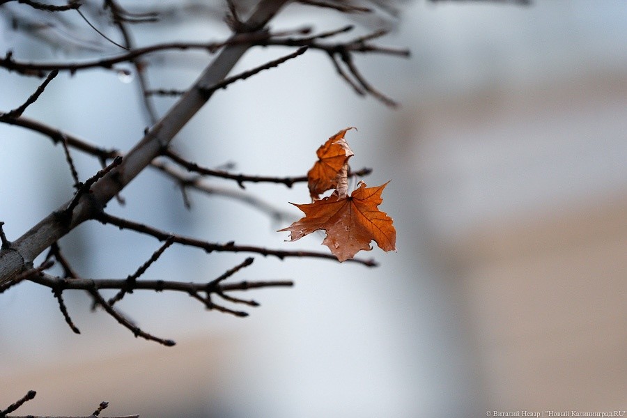 Ученые обещают региону колебания температур от -5 до +20 в апреле