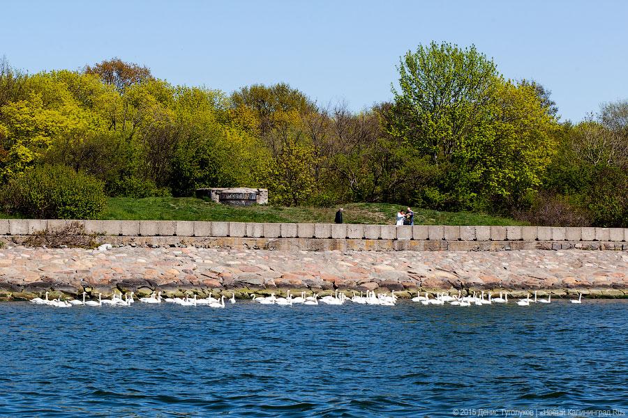 Венки на воде: калининградские яхтсмены отдали дань памяти морякам-балтийцам