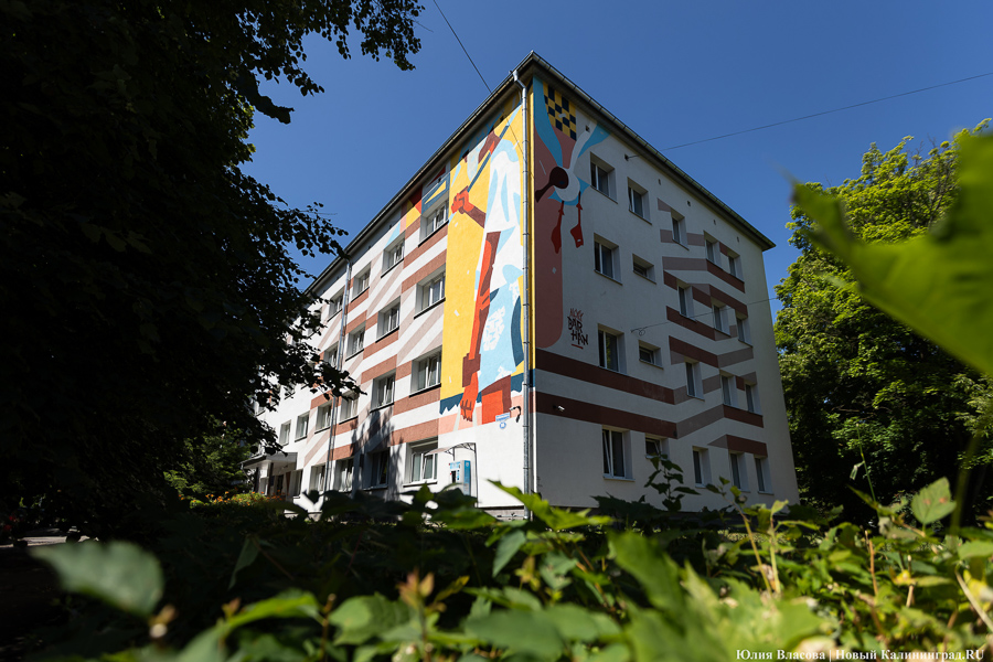 То, чему предстоит стать классикой: на зданиях БФУ им. Канта нарисовали четыре мурала (фото)