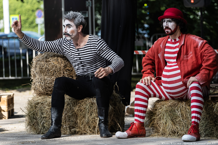 Это просто цирк какой-то: фестиваль «Башня» запустил уличную программу на «Балтике» (фото)