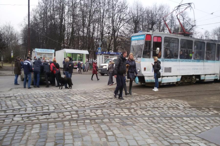 Калининградцы оттолкали заглохшую на пути трамвая машину (фото)