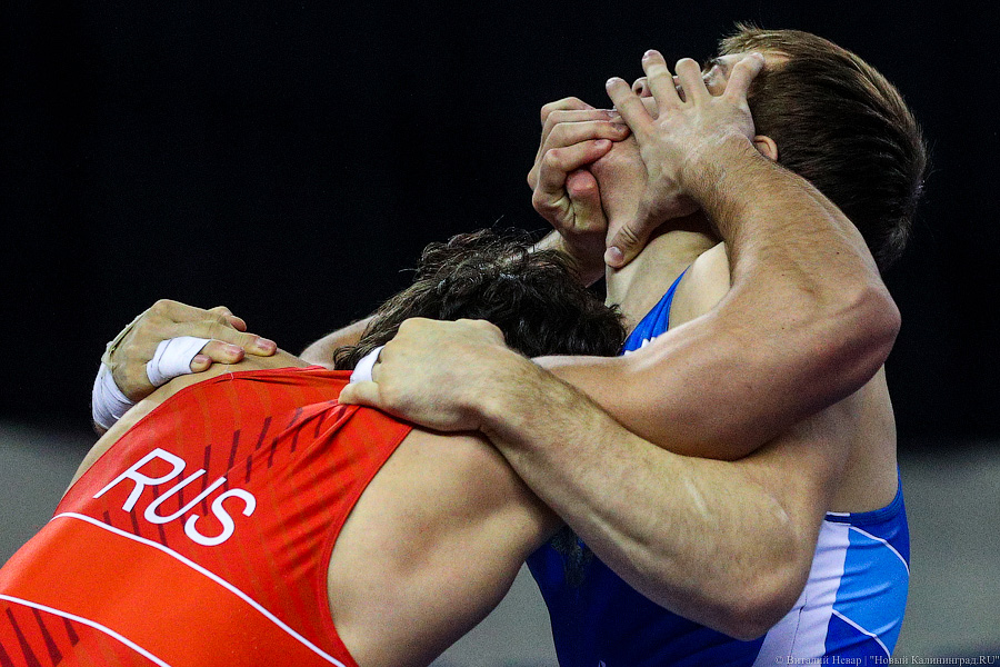 Просто мощь: чемпионат России по греко-римской борьбе идет в Калининграде (фото)