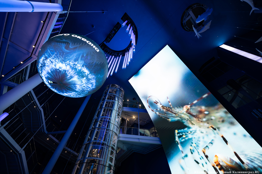 «Земля убывает»: как в Калининграде прошло официальное открытие «Планеты Океан»