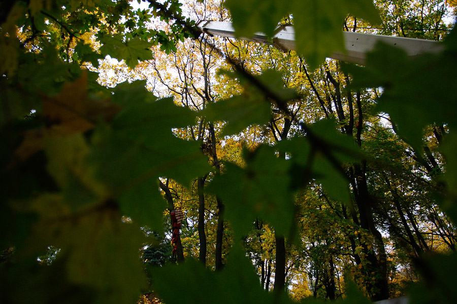 Бабье лето: синоптики прогнозируют в Калининграде тёплую неделю почти без осадков
