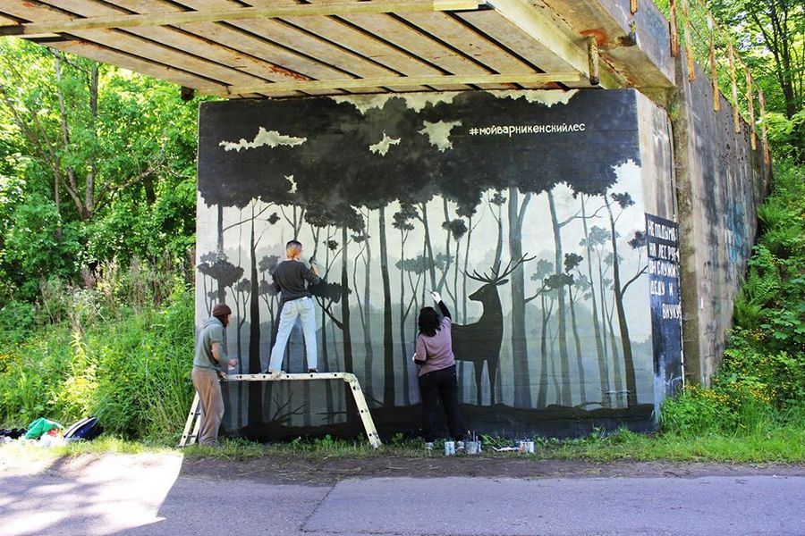 Под Светлогорском нарисовали граффити в защиту Варникенского леса от застройки (фото)