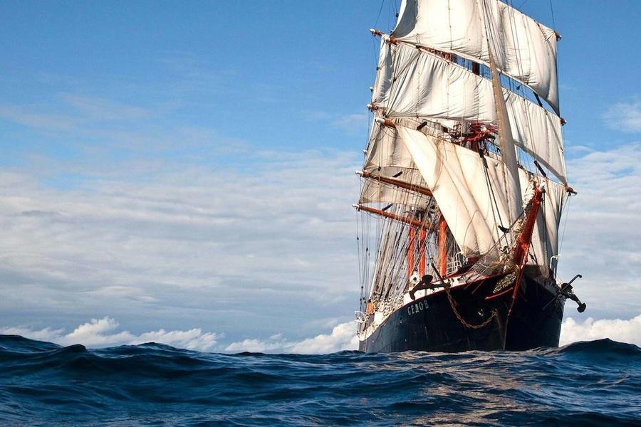 Польша не пустила барк «Седов» в свои воды вслед за Эстонией