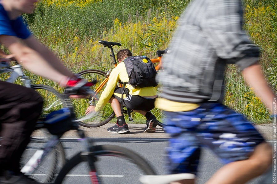 Калининград попал в топ-5 самых велосипедных городов России и СНГ