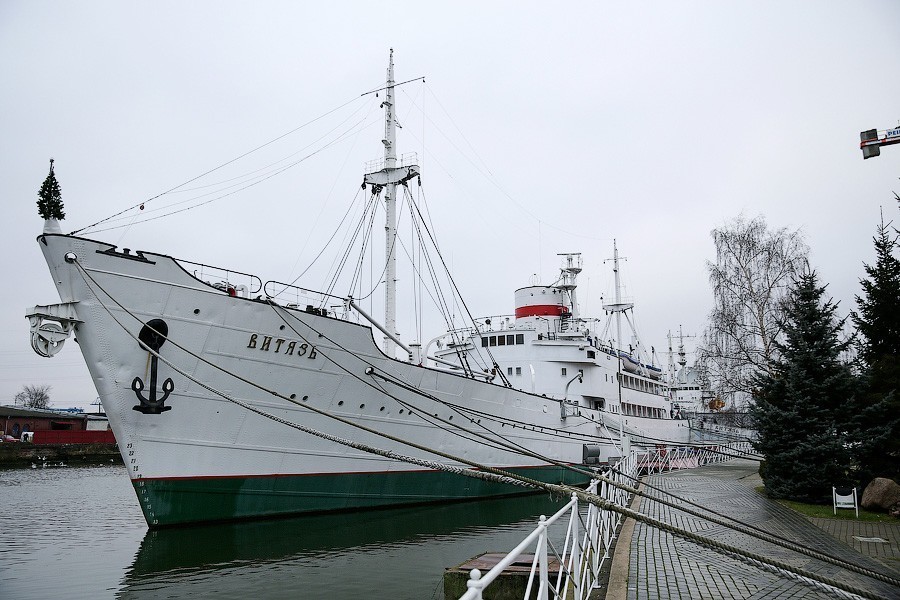 Фото — Виталий Невар, «Новый Калининград»