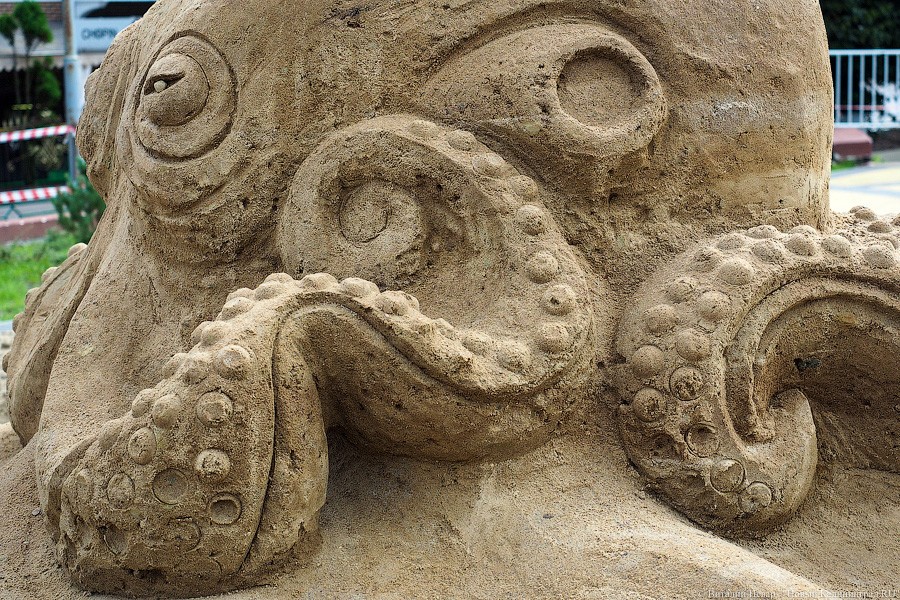 Со дна моря: в Зеленоградске сделали 5 скульптур из песка