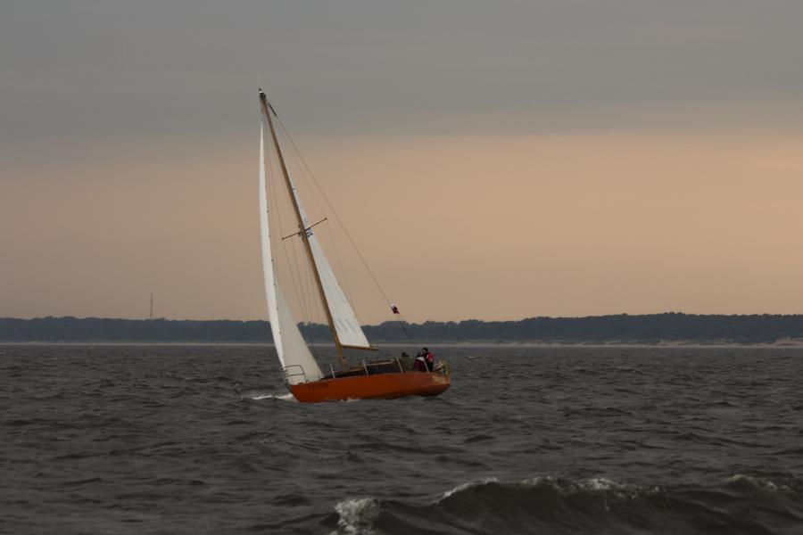 Ветер перемен: репортаж с первого регионального фестиваля парусного спорта