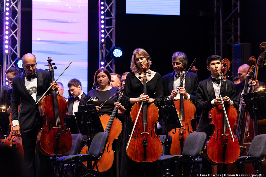 «Территория мира — Территория музыки»: как проходит open-air классической музыки