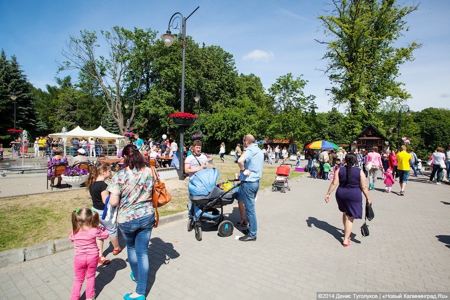 Горсовет Калининграда: в области в очереди за землей числится 6432 многодетных