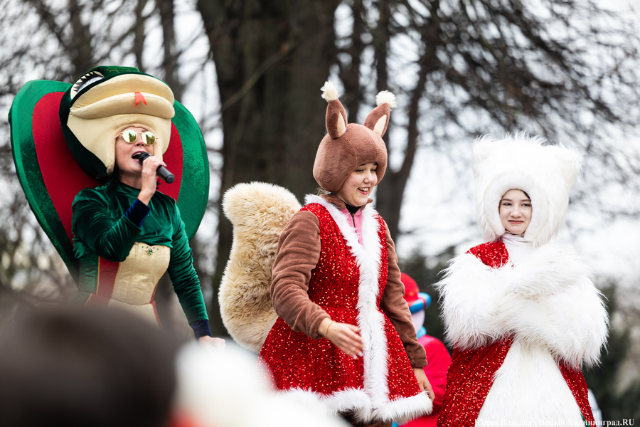 «Сказка к нам приходит»: на острове Канта прошел забег Дедов Морозов (фото)