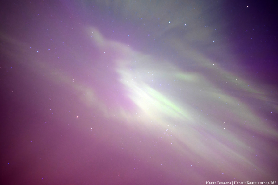 Дар Солнца: северное сияние над Калининградской областью (фото)