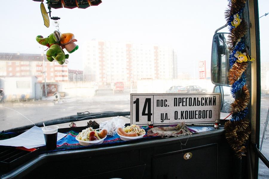 Изумительная тенденция: как сотрудники мэрии Калининграда проверяли состояние автобусов (фото)