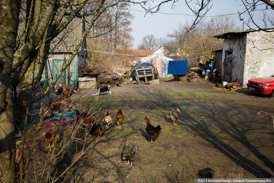 «Столица провинции»: жизнь малой родины губернатора Цуканова (+фото)