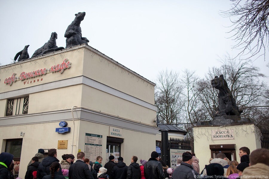 Облвласти выделяют 15 млн на обновление скульптур на входе в зоопарк Калининграда