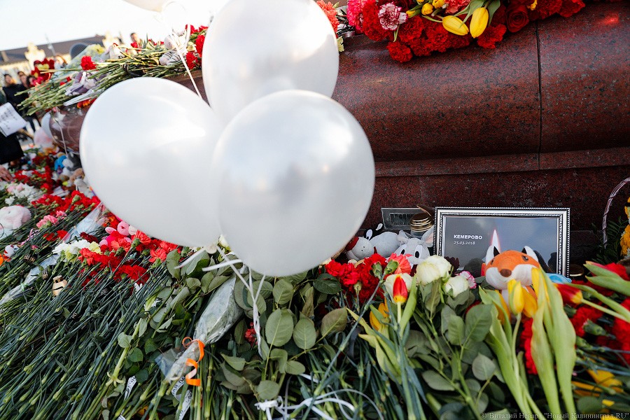 Опустить голову, зажечь свечу: в Калининграде почтили память погибших в Кемерово