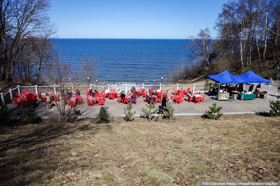 «Камбала и другие»: гастрономический фестиваль в Светлогорске