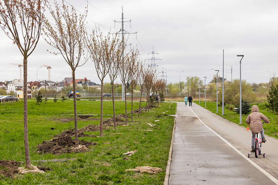 На Сельме высадили 49 крупномерных сакур (фото)