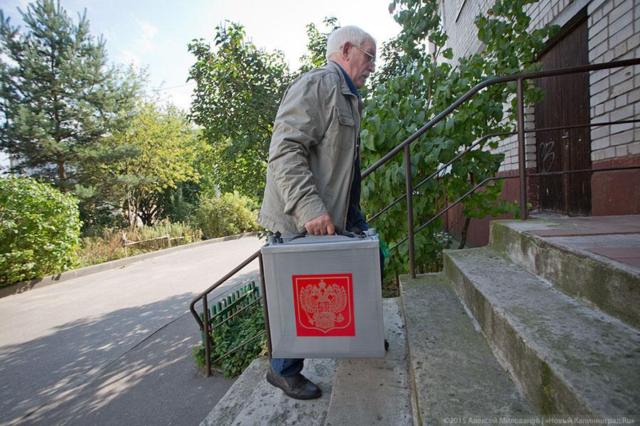 Спрос под стать предложению: как прошёл день голосования в Калининграде
